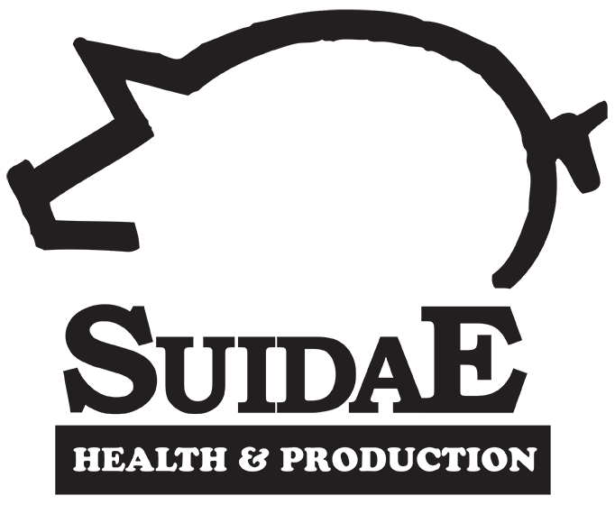 Logo for Suidae Health & Production featuring a simplified black outline of a pig above the company name. "SUIDAE" is in large, bold letters, with "HEALTH & PRODUCTION" in a smaller, all-caps font underneath. Ideal for SEO keywords placement in website footers.