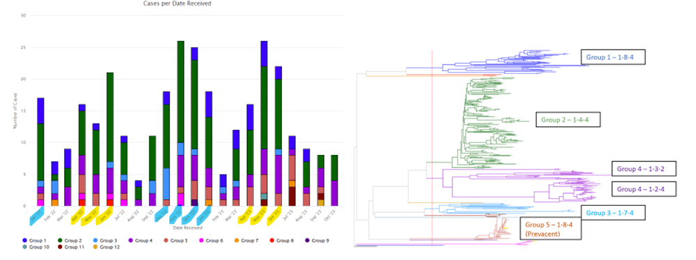 The left side of the image shows a bar chart with different colored bars representing cases per date received by groups, updated in real-time through BioPortal, while the right side features a dendrogram with groups labeled 1-5 indicating phylogenetic relationships related to PRRS.