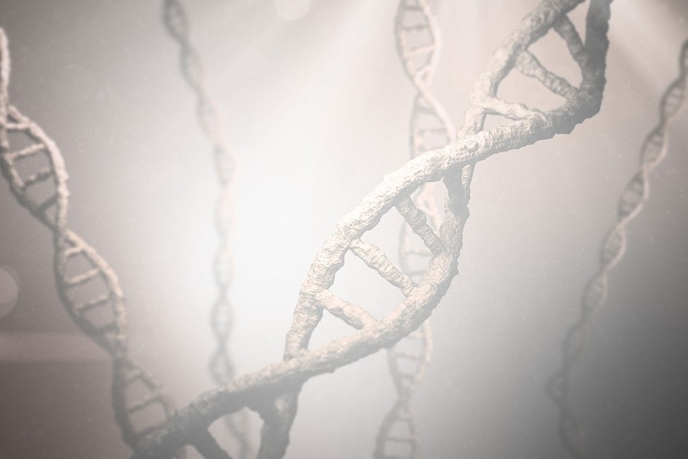 Close-up artistic depiction of DNA double helixes, twisted and intertwined, with a soft, dreamy lighting effect. The background is blurred, emphasizing the intricate structure of the DNA helices in the foreground.