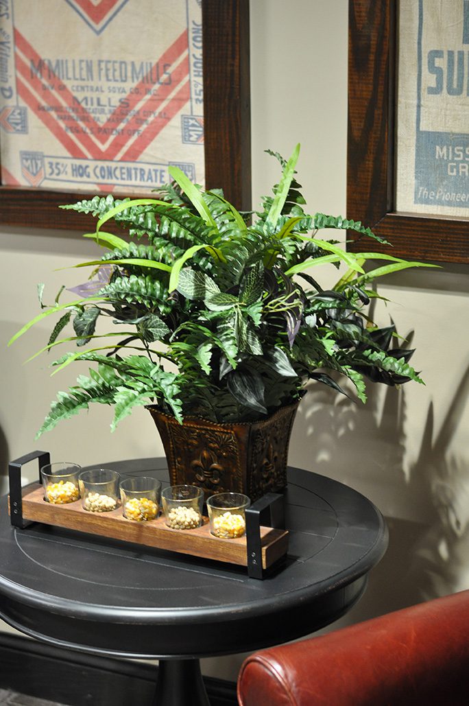 A decorative potted plant with lush green leaves sits on a round black table. In front of the plant, there is a wooden tray with four small glass containers filled with mixed nuts. The background features framed posters on a beige wall, evoking themes of animal wellness and herd health.
