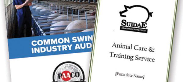 Two pamphlets are displayed. The left pamphlet, titled "Common Swine Industry Audit," features PAACO's logo and an image of pigs in pens. The right pamphlet, showcasing the offerings of Suidae Health & Production under "Animal Care & Training Service," has space for a farm site name.