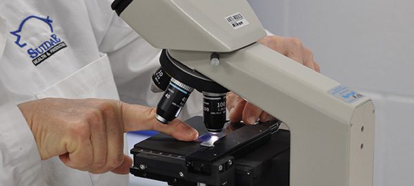A person wearing a white lab coat with the "Sudre" logo operates a microscope, carefully adjusting the slide on the stage. The illuminated lenses reveal intricate details, showcasing Sudre's commitment to precise and innovative services in scientific research.