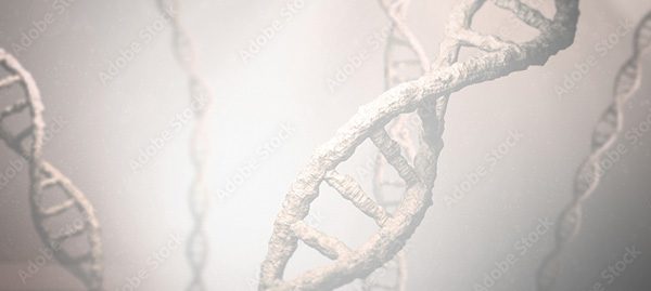 A close-up 3D illustration of DNA double helices in a misty, light grey environment. The DNA strands appear textured and slightly translucent, with a soft, diffused light giving a subtle glow to the scene. This intricate depiction underscores the complexity and precision akin to top-tier genetic services.