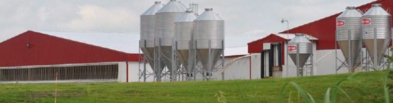 A farm showcasing silver silos beside red-roofed buildings under a cloudy sky, encircled by green grassy land, embodies the vision of growth and innovation fostered by Suidae Management Services.